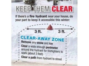 Fire Hydrant Snow Removal